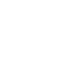 map-pin